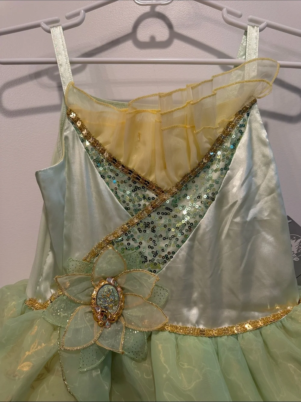 The Princess and the Frog questions leave